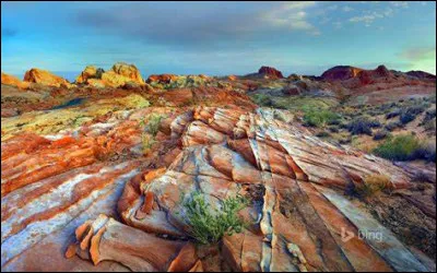 Laquelle de ces guerres a débuté par la Toussaint rouge ?
