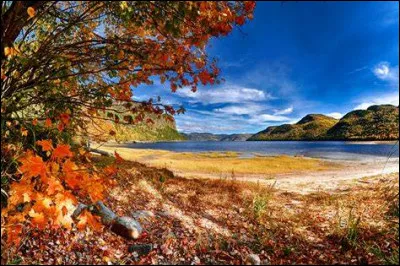 Quel nom va prendre le cardinal Julien della Rovere une fois qu'il sera devenu pape ?