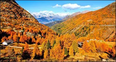 Quel congrès est ouvert le premier novembre 1814 ?