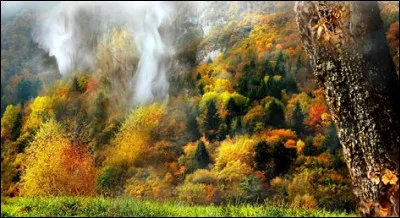 En quelle année le tsar Nicolas II accède-t-il au trône russe ?