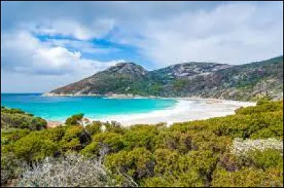 Histoire : Quel alcool donne son nom à la seule révolte militaire contre le gouvernement qui est eut lieu en Australie ?