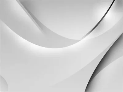 "Petit-gris" est un terme désignant les plumes sous le ventre :