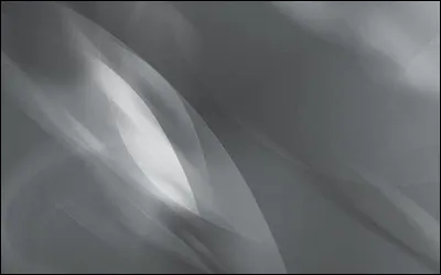 Qu'est le "petit-gris de Rennes" ?