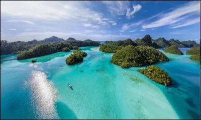 Quel mouvement politique ne peut pas être représenté publiquement en Indonésie ?