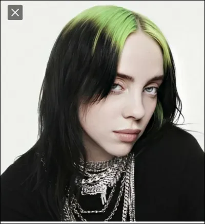 Qui est cette chanteuse ?