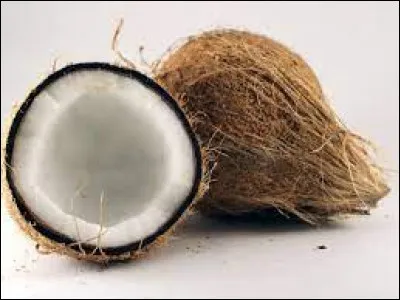 Comment dit-on "noix de coco ?