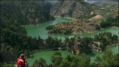 Arts : Dans quel film l'action se déroule-t-elle dans une prison turque ?