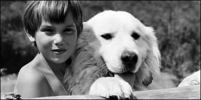 Qui recueille Sébastien dans "Belle et Sébastien" ?