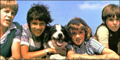 Quel est le nom du chien dans "Le Club des cinq" ?