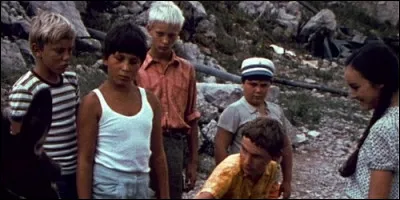 A quoi fait référence "La mouette bleue" dans "La Compagnie de la mouette bleue"