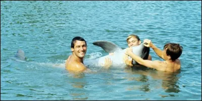 Dans "Flipper", lequel des enfants Ricks apprivoise le dauphin ?