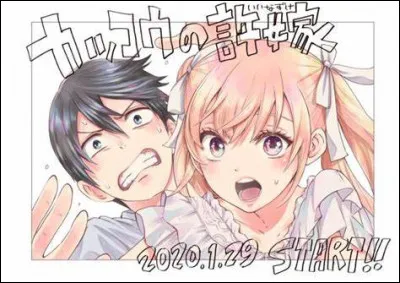 Avec qui Erika Amano a-t-elle été échangée à la naissance ?