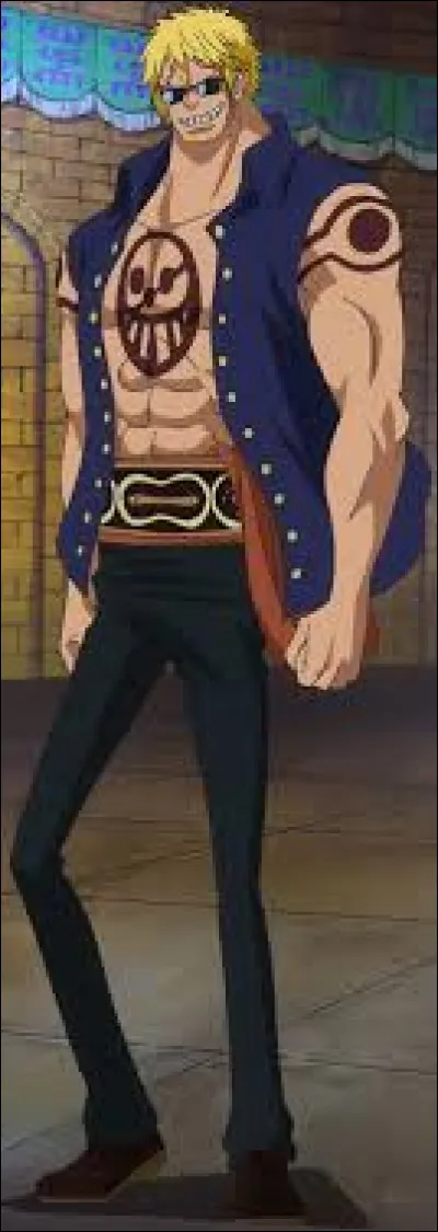 Il a été battu en un coup par Luffy ! Il a le Fruit du Ressort. De qui s'agit-il ?