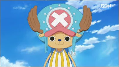 C'est le médecin de l'équipage. Son Fruit du Démon est le Fruit de l'Humain. Quel est son nom ?