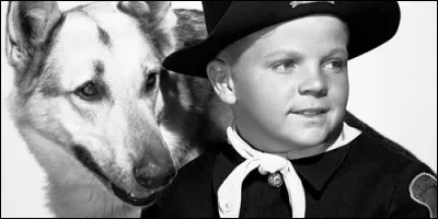 Qui recueille le chien dans "Rintintin" ?