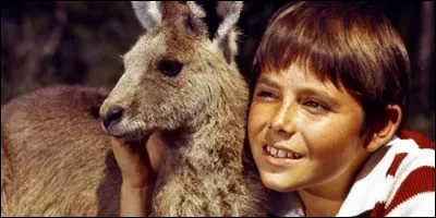 Dans "Skippy le kangourou", un kangourou et un petit garçon nommé Perry se soutiennent mutuellement dans le parc national Yellowstone que dirige sa mère.