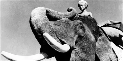 Qui est Toumaï dans la série du même nom ?