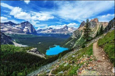 Avec quel pays la route panaméricaine connecte-t-elle la Colombie à l'est ?