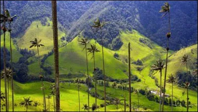 Quel est le point culminant du pays ?