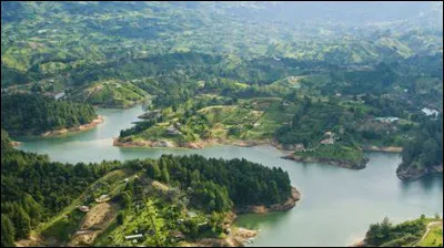 Combien d'espèces d'oiseaux y retrouve-t-on ?