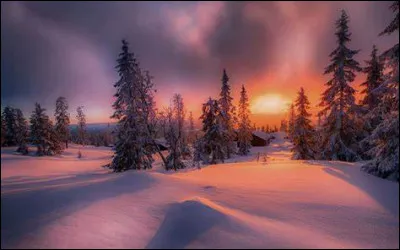 La corde la plus grave de l'alto est le sol.