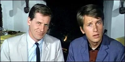 Quel métier exercent Pierre et Bob dans "Les Globe-trotters" ?