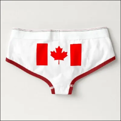 Comment nomme-t-on un slip au Canada ?