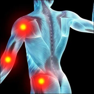 Quel m&eacute;decin se sp&eacute;cialise dans le traitement des maladies de l�appareil locomoteur ?