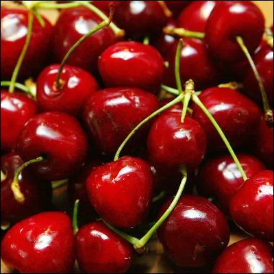 Quelle for&ecirc;t a donn&eacute; son nom &agrave; une vari&eacute;t&eacute; de cerise ?