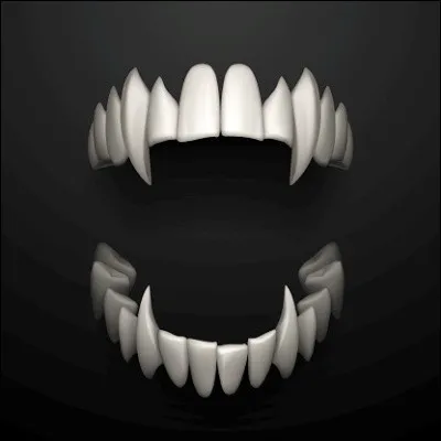 &Agrave; quelle famille de mammif&egrave;res appartiennent l�oncille et le serval ?