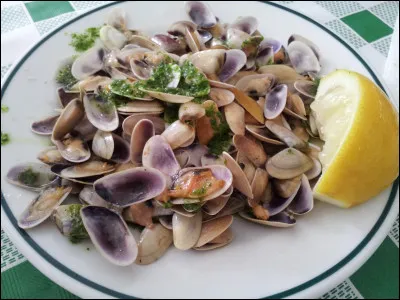 Coquillages : quel est le nom de ceux qui se trouvent sur cette assiette ?