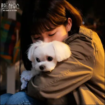 Comment le chien de Min Seol-ah s'appelle-t-il ?