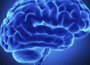 Quiz nigmes : vous laisserez-vous piger par l'vidence ?