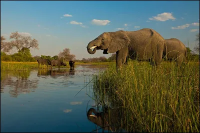 Pour finir, où aimerais-tu partir en vacances ?