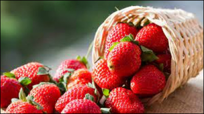 Maintenant, les fraises ! Cet aliment qui plaît beaucoup aux enfants, et qui se déguste très souvent au goûter avec de la crème chantilly, miam ! Il s'agit d'un...