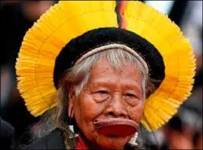 Culture : Lequel de ces peuples ne vit pas en Amazonie ?