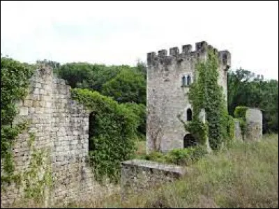 Nous sommes en Nouvelle-Aquitaine devant les ruines du château de Castella. Village de l'aire d'attraction Agenaise, elle se situe dans le département ...