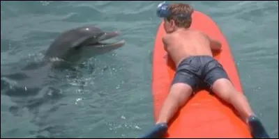 Dans "Flipper le dauphin", Porter Ricks est le vétérinaire du parc aquatique Coral Key en Californie.
