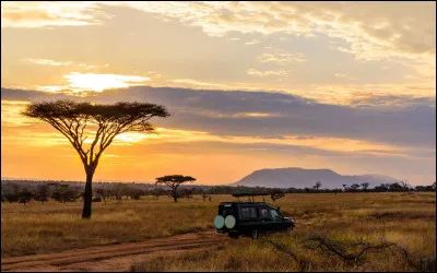 Culture : Combien de langues officielles l'Afrique du Sud compte-t-elle ?