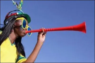 Arts : Comment s'appelle cet instrument qui a &eacute;t&eacute; popularis&eacute; gr&acirc;ce &agrave; la Coupe du monde de football ?