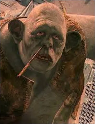 Quel sort Ron Weasley utilise-t-il pour assommer le troll ?