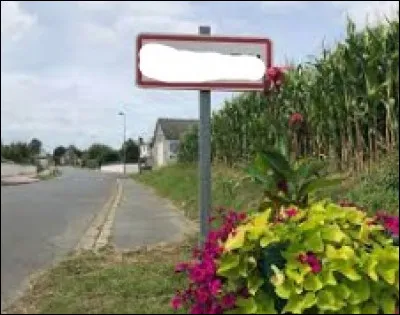 Après avoir fait ça, je n'ai _______ fait de la soirée.