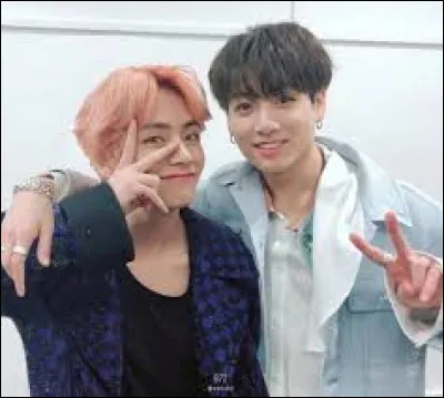 Aimes-tu le duo Taekook ?