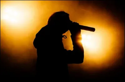 Quel chanteur, ardéchois dadoption, est l'auteur-compositeur et interprète de la chanson ''Je ne suis qu'un cri'' ?