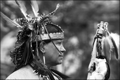 Le ''cri'' est une langue algonquienne parlée par quel peuple d'Amérique du Nord ?