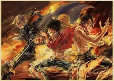 Qui sont les deux frères de Luffy ?
