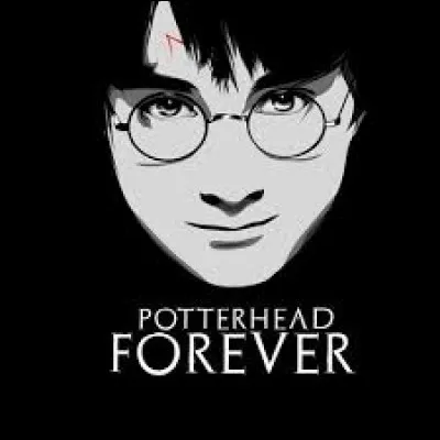 Es-tu un Potterhead ?