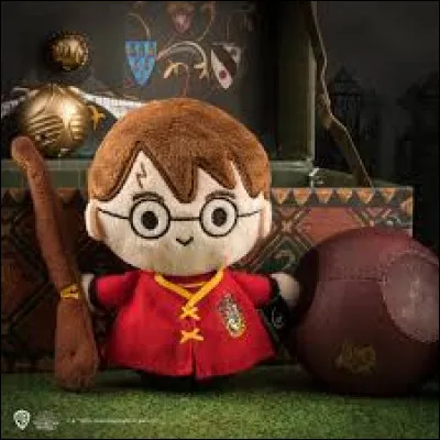 Pratiques-tu le Quidditch ?