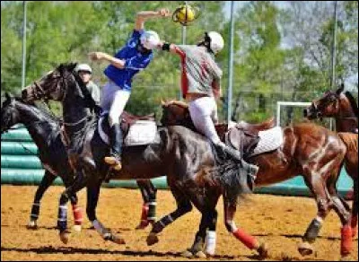 De combien de joueurs se composent les équipes de horseball ?