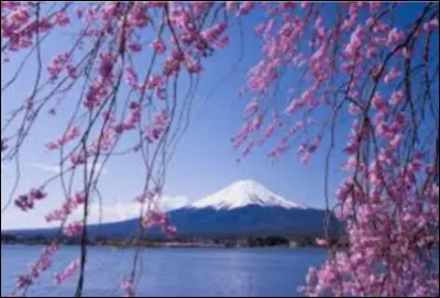 Quel lieu ne peut-on pas voir au Japon, parmi ceux-là ?